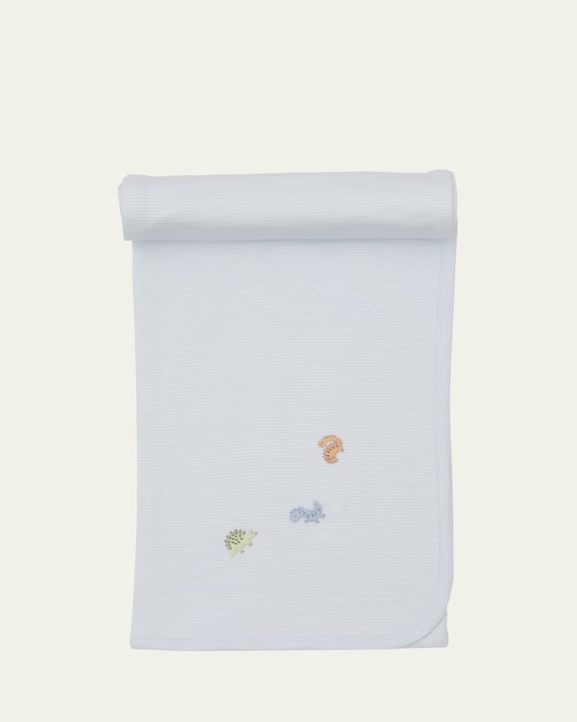 Boy's SCE Dino District Embroidered Blanket